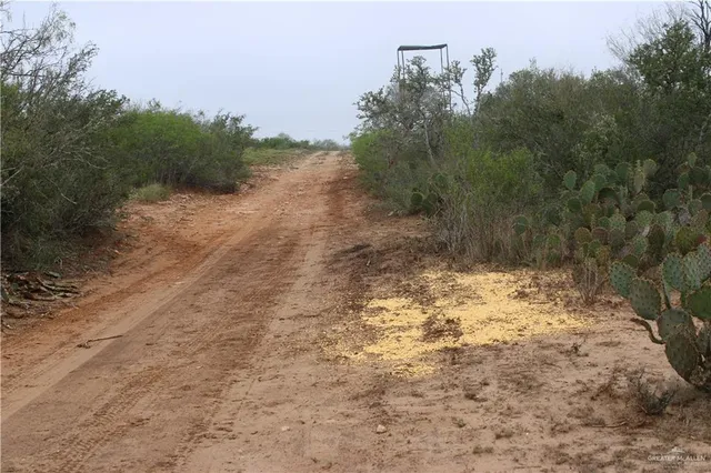 $510,930 | 8993 North Julian Street, San Diego, TX 78384