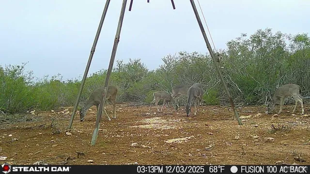 $510,930 | 8993 North Julian Street, San Diego, TX 78384