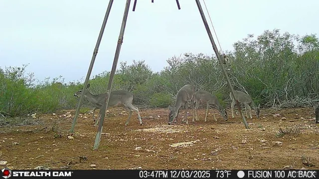 $510,930 | 8993 North Julian Street, San Diego, TX 78384