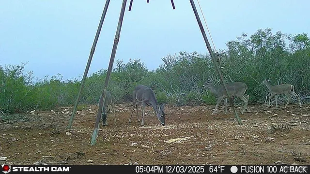 $510,930 | 8993 North Julian Street, San Diego, TX 78384