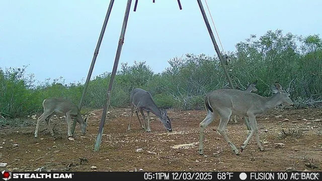 $510,930 | 8993 North Julian Street, San Diego, TX 78384