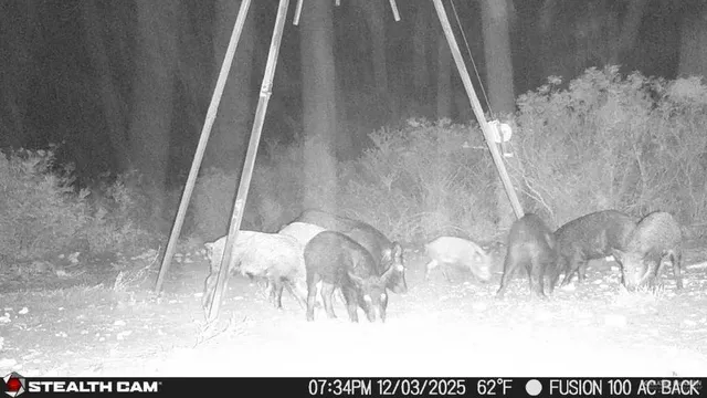 $510,930 | 8993 North Julian Street, San Diego, TX 78384