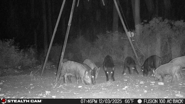 $510,930 | 8993 North Julian Street, San Diego, TX 78384