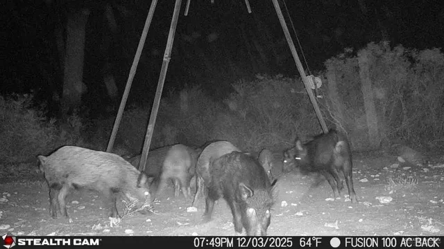 $510,930 | 8993 North Julian Street, San Diego, TX 78384