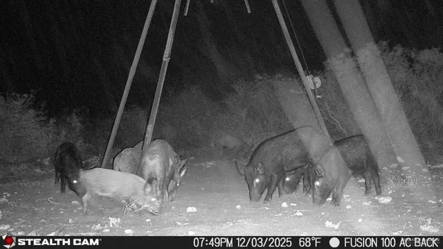 $510,930 | 8993 North Julian Street, San Diego, TX 78384