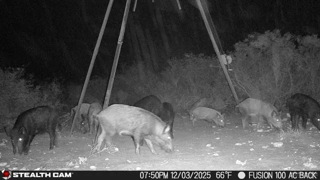 $510,930 | 8993 North Julian Street, San Diego, TX 78384