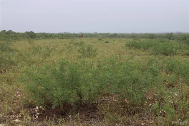 $510,930 | 8993 North Julian Street, San Diego, TX 78384