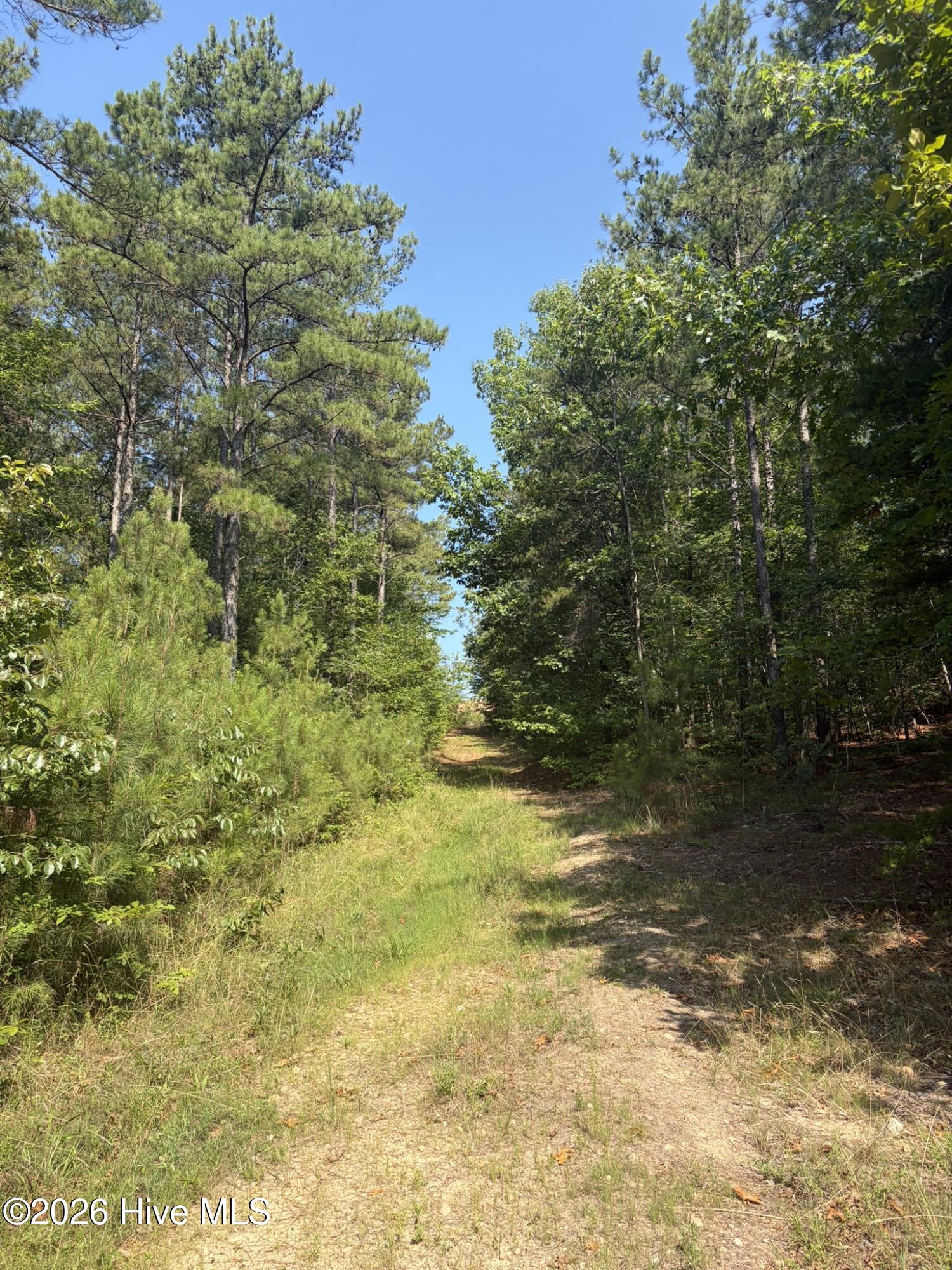 Tbd Green Road Ellerbe, NC 28338 - Photo 17 of 23