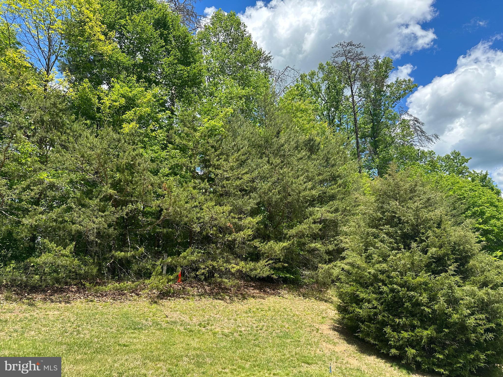 8024 Pinnacle Ridge Drive Manassas, VA 20112 - Photo 7 of 9 Gallery Image 7