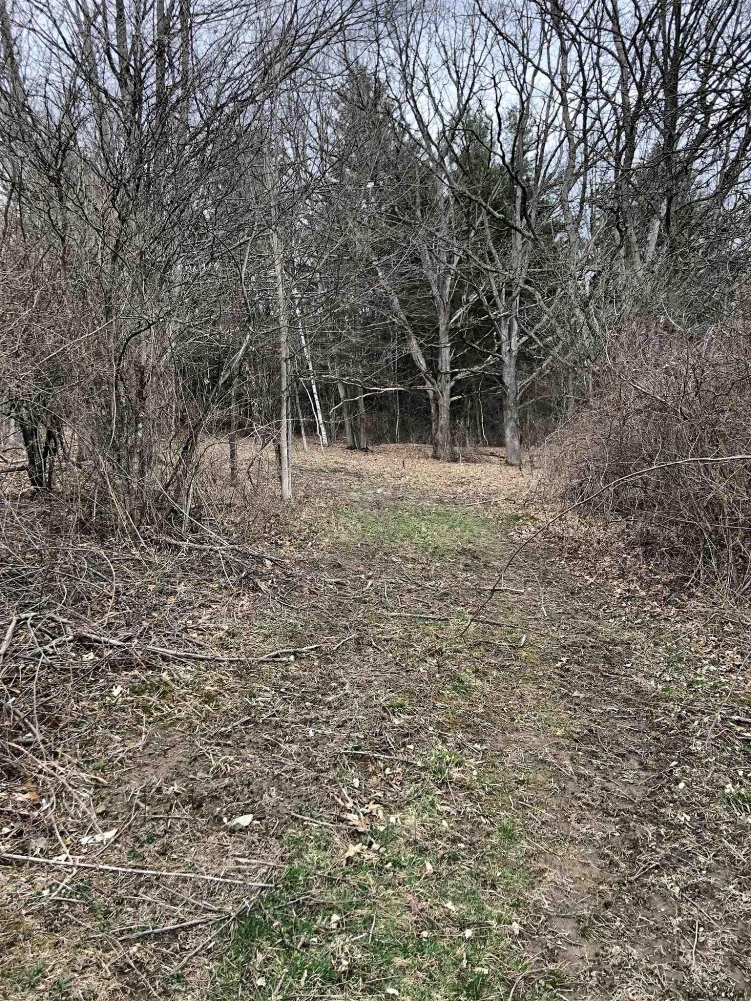 225 River Road Buskirk, NY 12028 - Photo 14 of 41 Photo 14