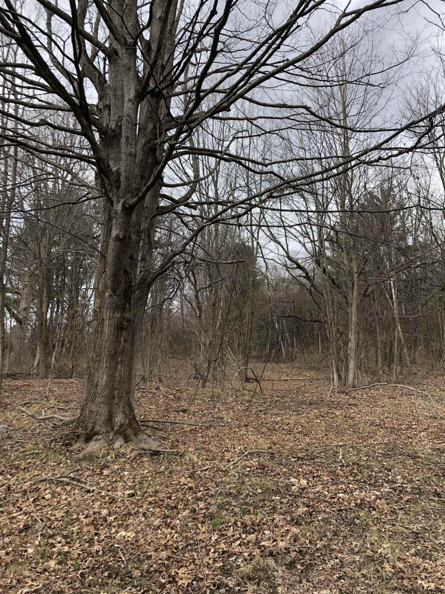 225 River Road Buskirk, NY 12028 - Photo 15 of 41 Photo 15