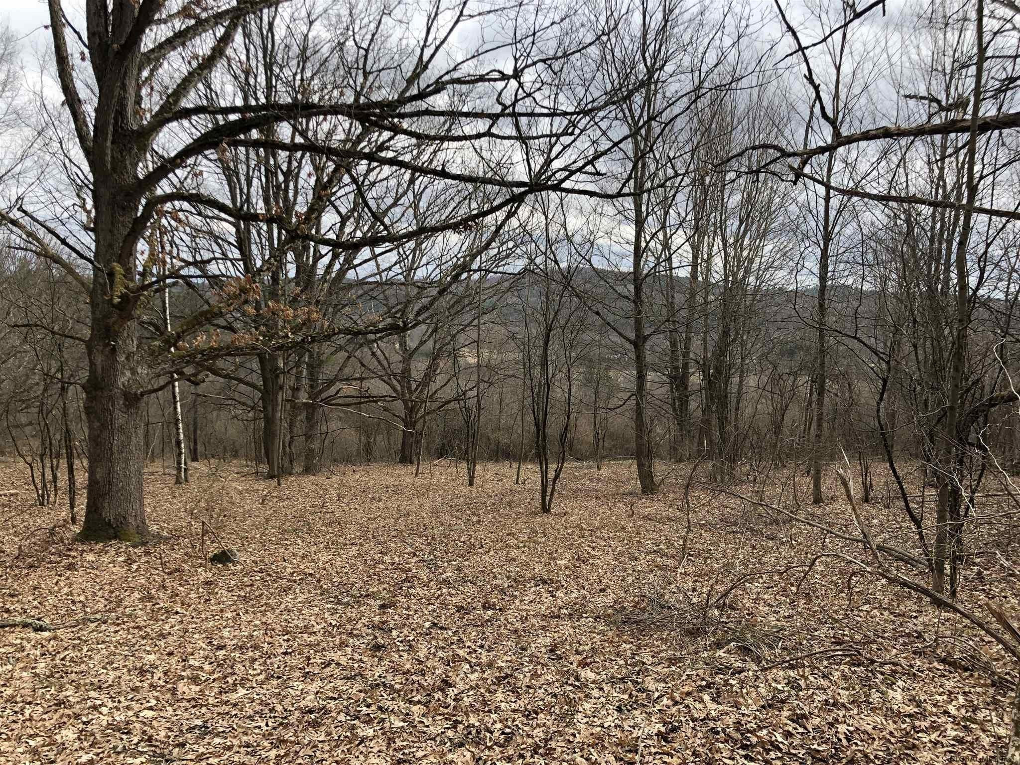 225 River Road Buskirk, NY 12028 - Photo 16 of 41 Photo 16