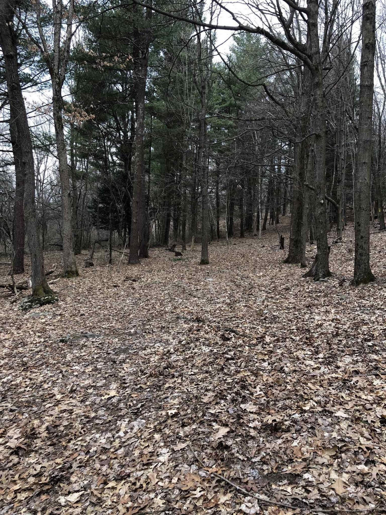 225 River Road Buskirk, NY 12028 - Photo 17 of 41 Photo 17