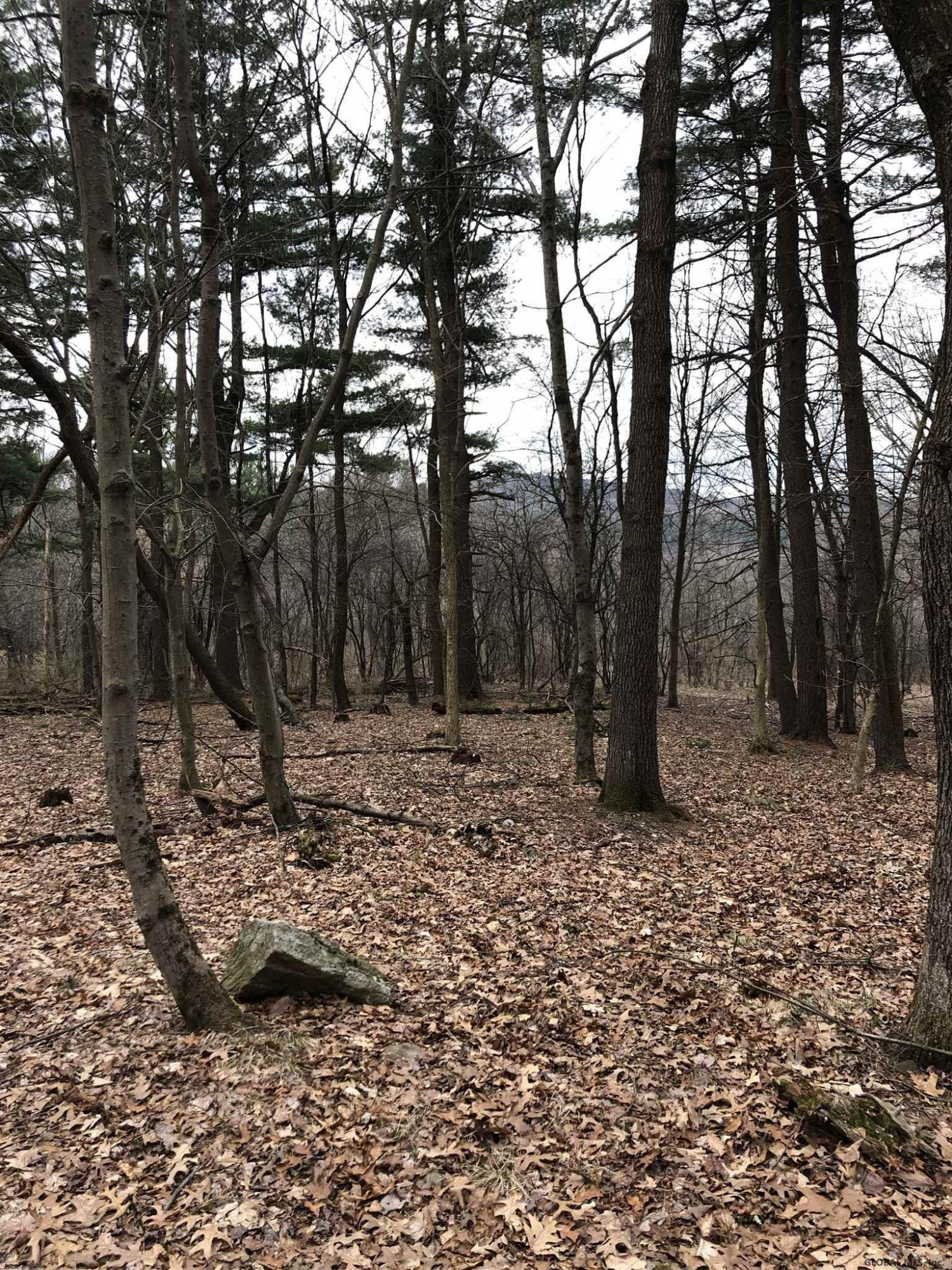 225 River Road Buskirk, NY 12028 - Photo 18 of 41 Photo 18