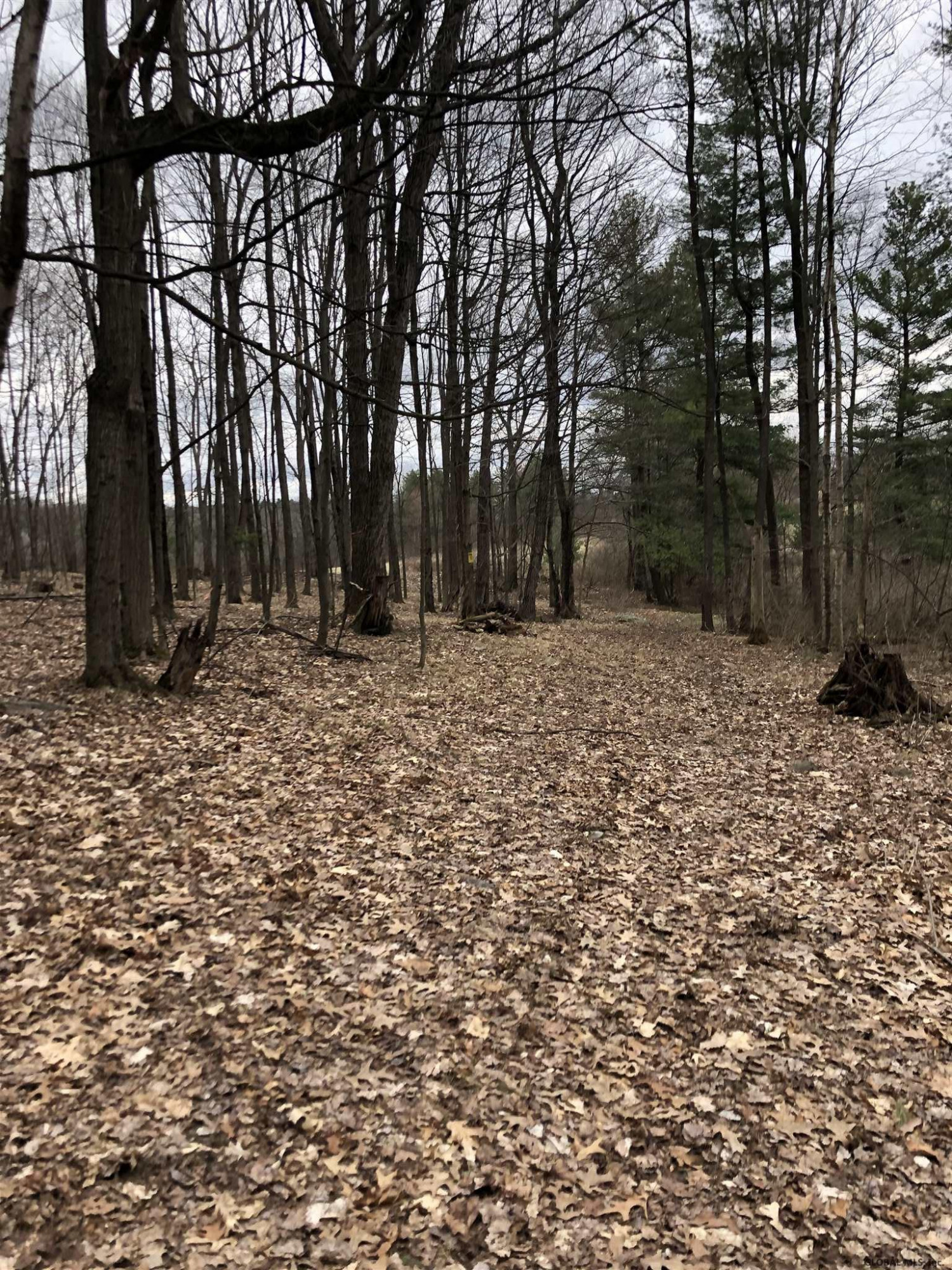 225 River Road Buskirk, NY 12028 - Photo 19 of 41 Photo 19