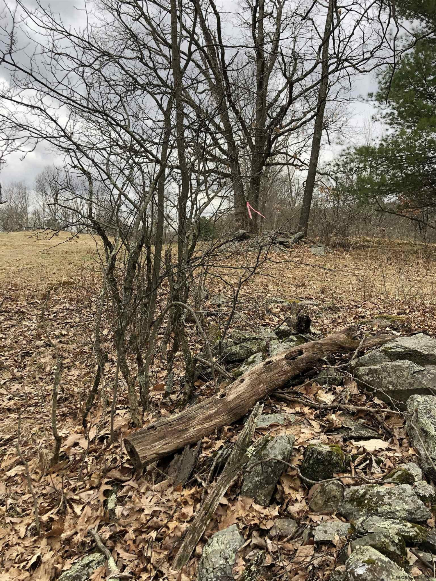 225 River Road Buskirk, NY 12028 - Photo 24 of 41 Photo 25