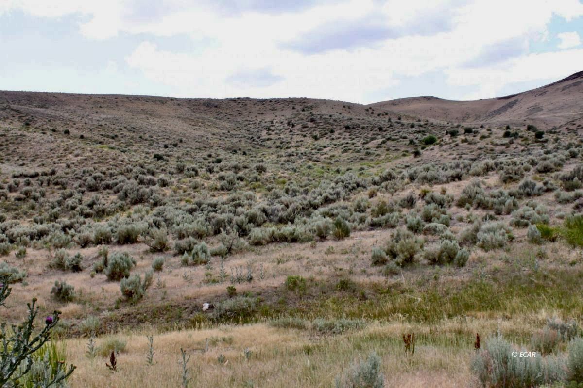 5th Street Elko, NV 89801 - Photo 14 of 20