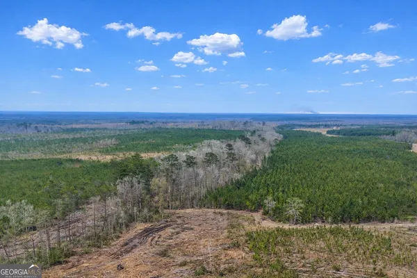 $2,730,035 | 0 Highway 121 Glennville Ga 30427, Glennville, GA 30427