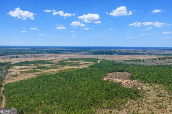$2,730,035 | 0 Highway 121 Glennville Ga 30427, Glennville, GA 30427