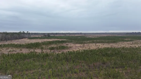 $2,730,035 | 0 Highway 121 Glennville Ga 30427, Glennville, GA 30427