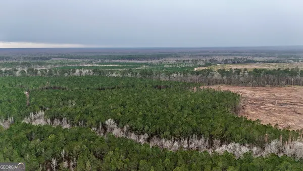 $2,730,035 | 0 Highway 121 Glennville Ga 30427, Glennville, GA 30427