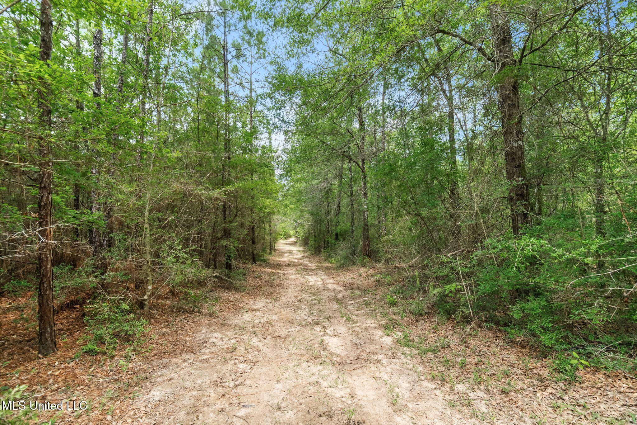 127 Ashe Road Poplarville, MS 39470 - Photo 49 of 66 127_Ashe_Rd-51