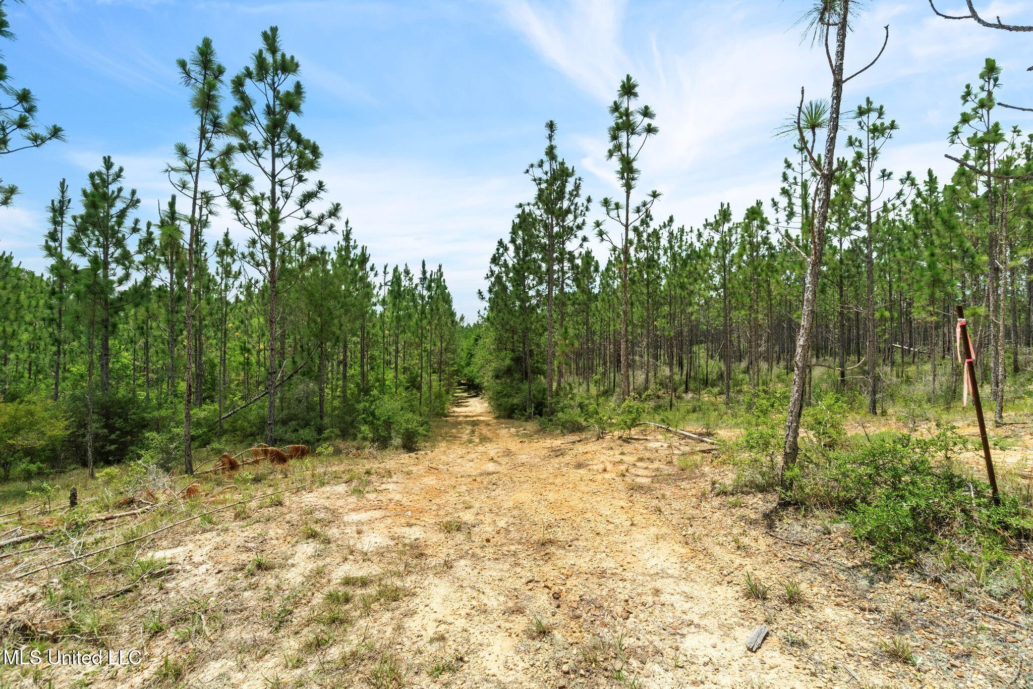 127 Ashe Road Poplarville, MS 39470 - Photo 50 of 66 127_Ashe_Rd-52