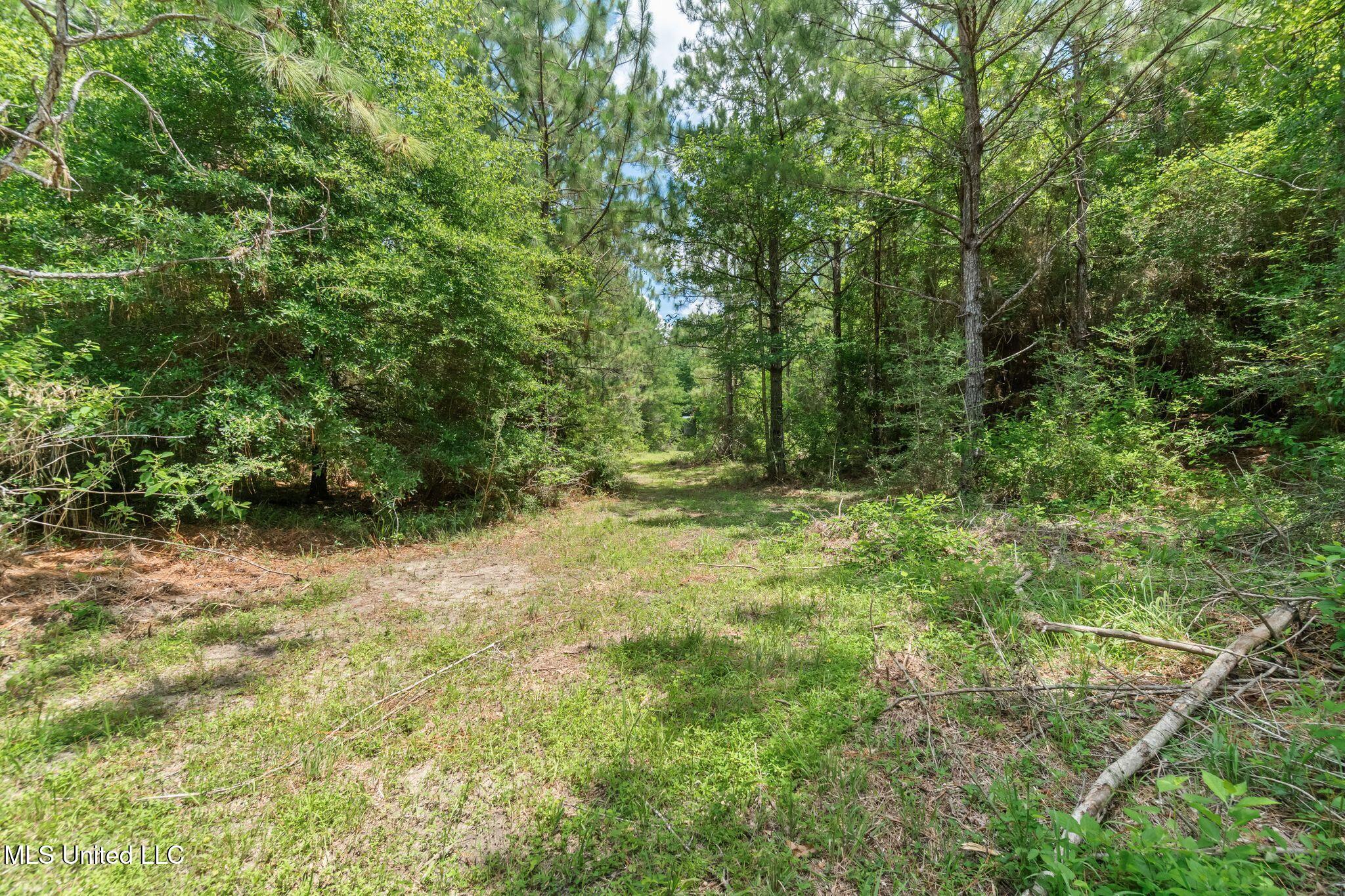 127 Ashe Road Poplarville, MS 39470 - Photo 51 of 66 127_Ashe_Rd-53