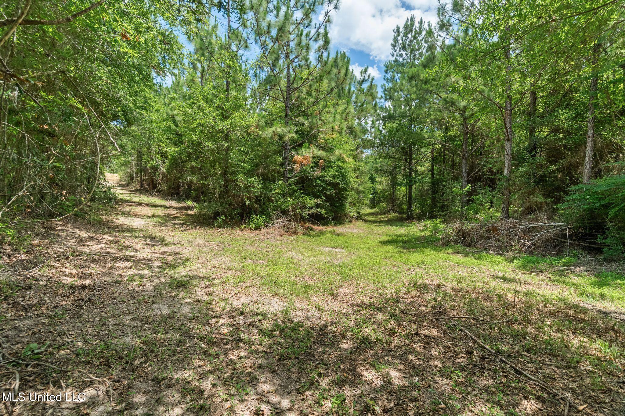 127 Ashe Road Poplarville, MS 39470 - Photo 52 of 66 127_Ashe_Rd-54