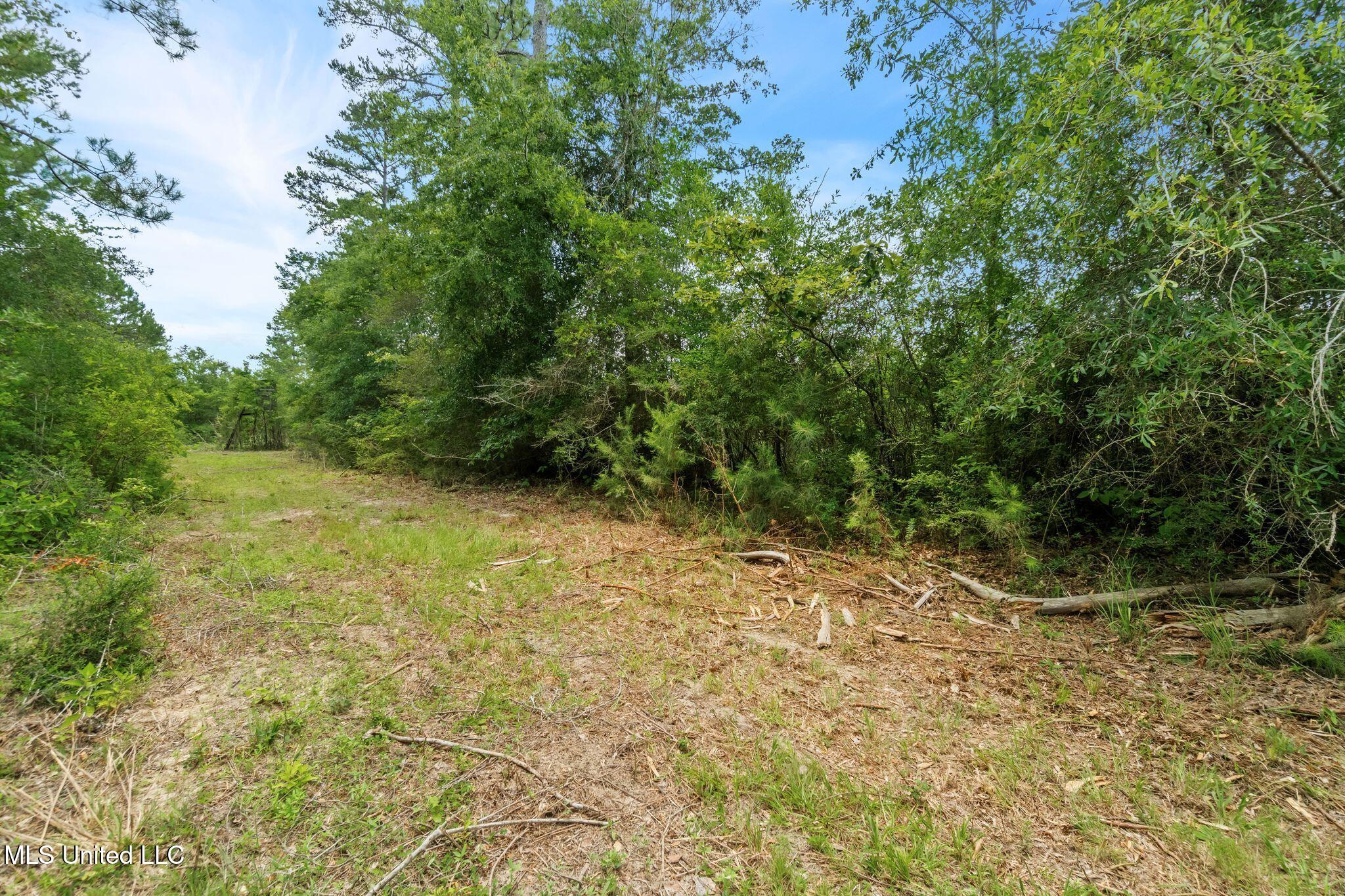 127 Ashe Road Poplarville, MS 39470 - Photo 53 of 66 127_Ashe_Rd-55