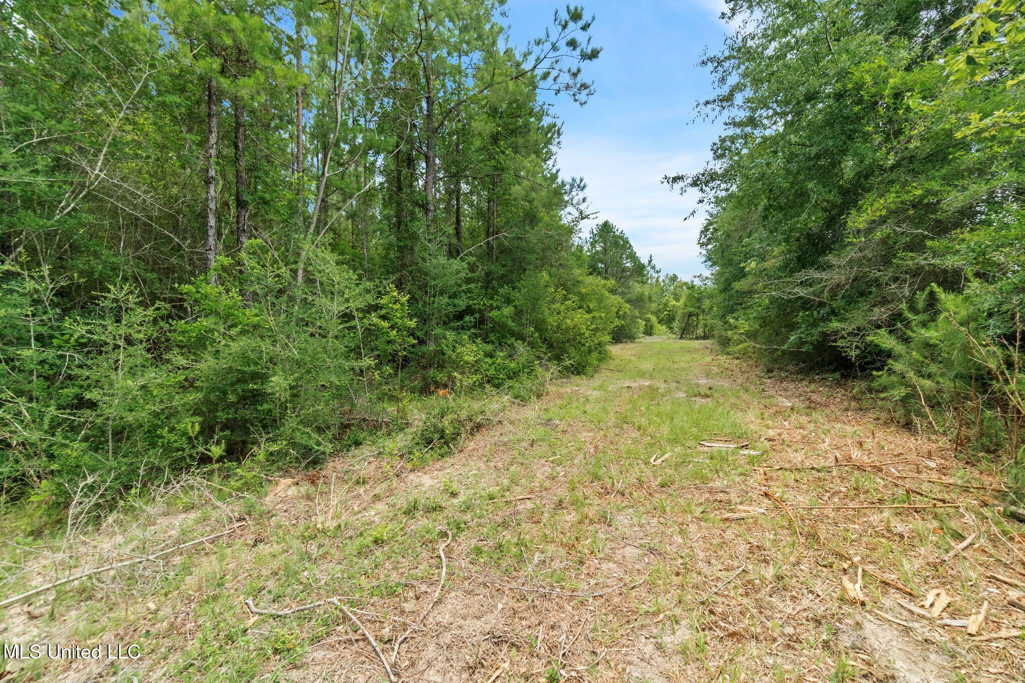 127 Ashe Road Poplarville, MS 39470 - Photo 54 of 66 127_Ashe_Rd-56