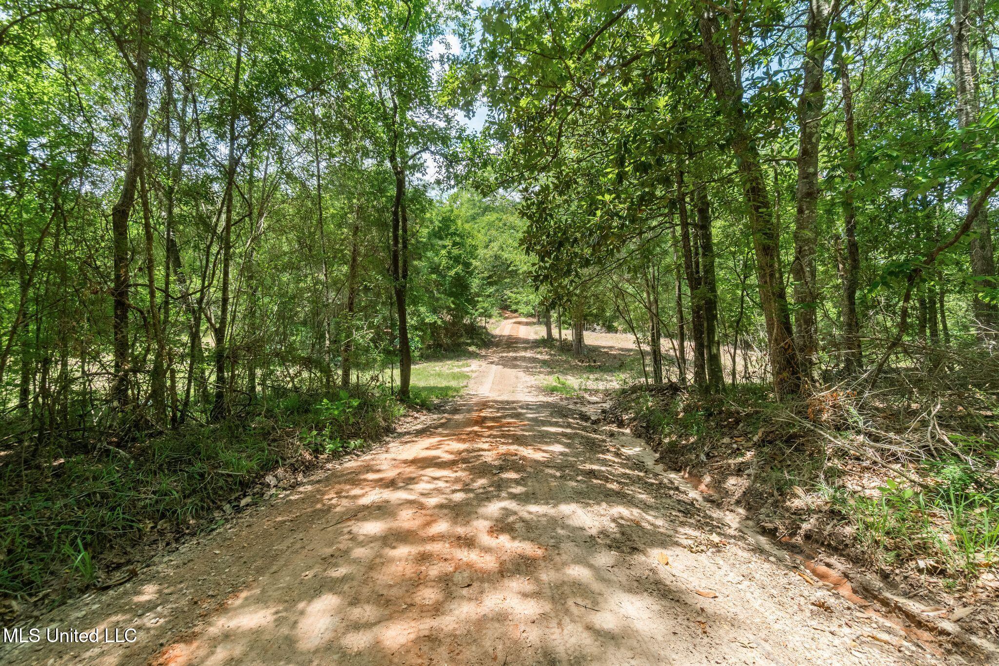 127 Ashe Road Poplarville, MS 39470 - Photo 55 of 66 127_Ashe_Rd-57