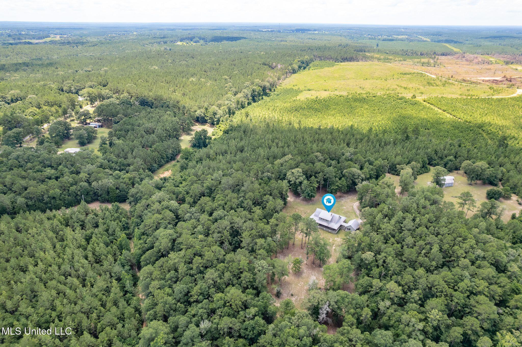 127 Ashe Road Poplarville, MS 39470 - Photo 62 of 66 127_Ashe_Rd-Drone-3