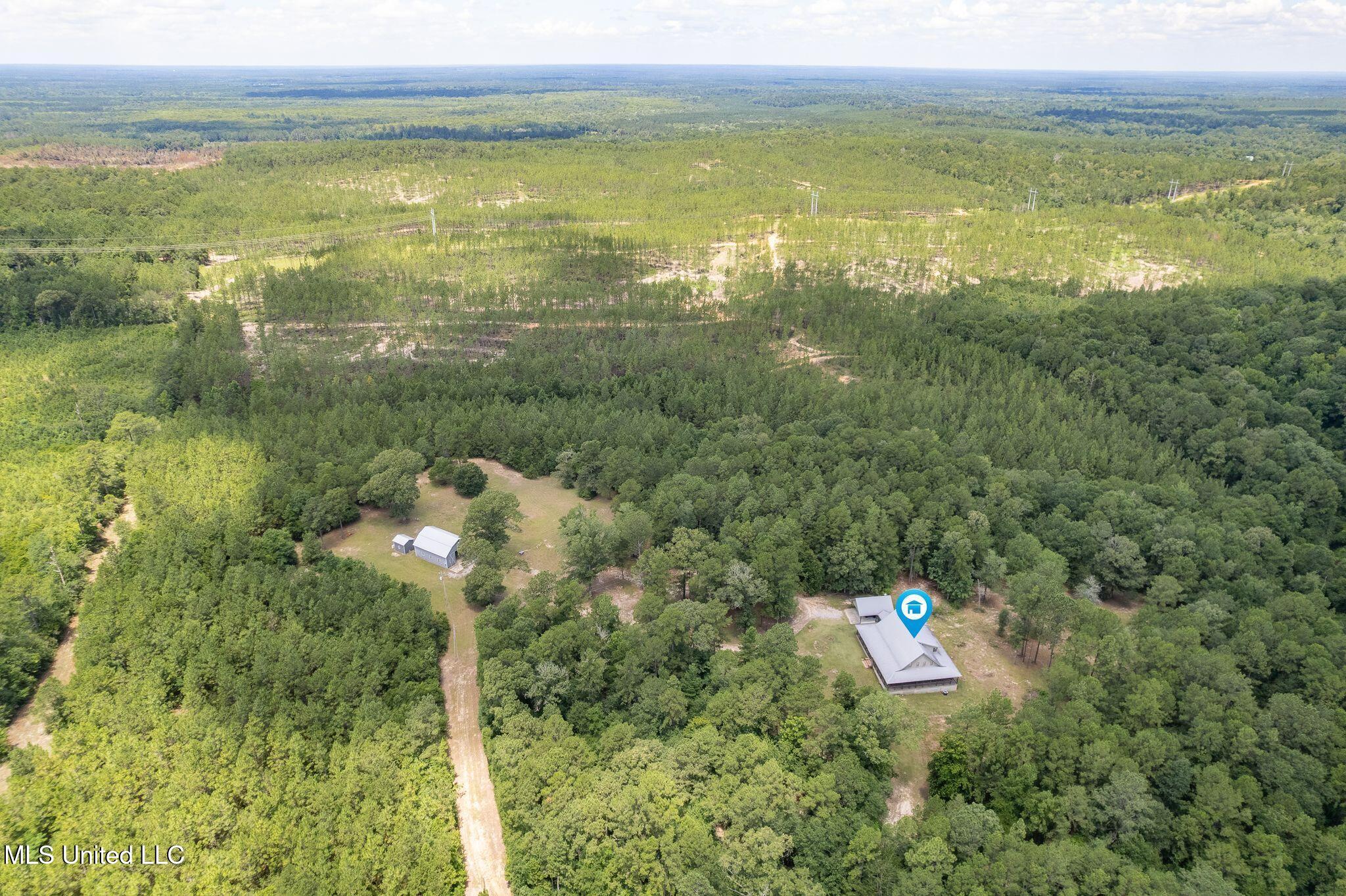 127 Ashe Road Poplarville, MS 39470 - Photo 63 of 66 127_Ashe_Rd-Drone-4