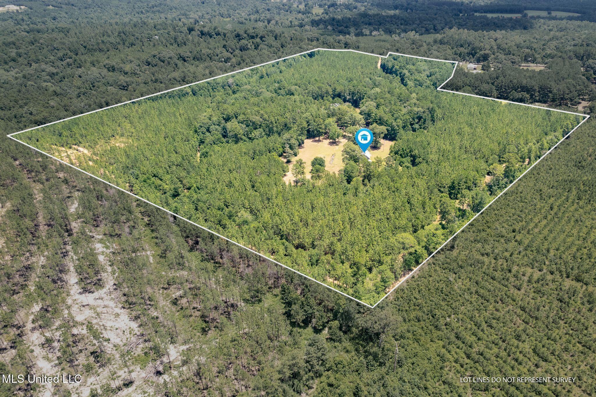 127 Ashe Road Poplarville, MS 39470 - Photo 66 of 66 127_Ashe_Rd-Drone-7