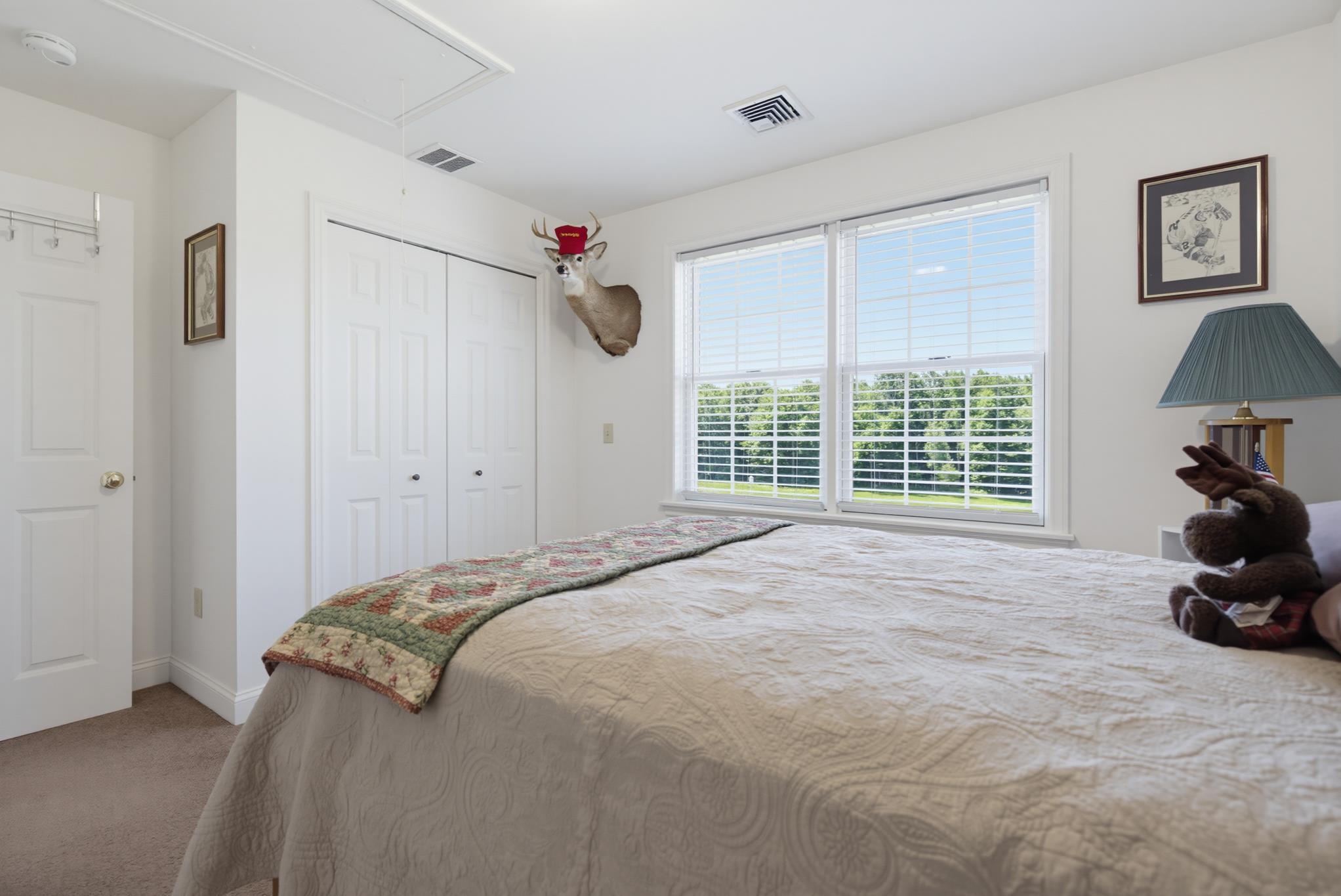 50 Range Road Pittsfield, NH 03263 - Photo 35 of 60 Gallery Image 35