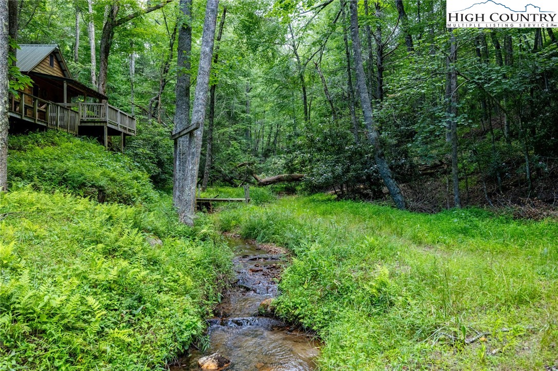 1357 Brown Road Sparta, NC 28675 - Photo 35 of 50 Gallery Image 35