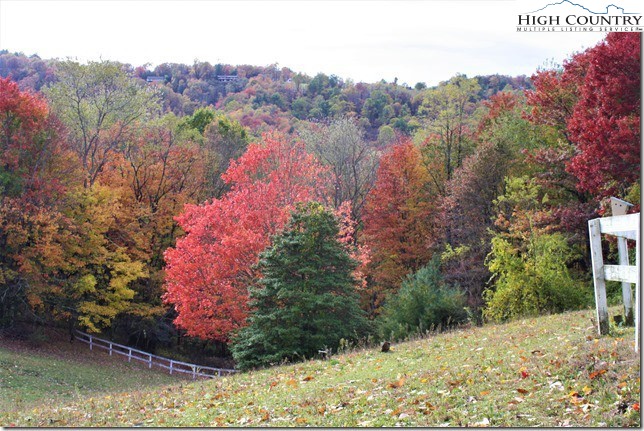 1357 Brown Road Sparta, NC 28675 - Photo 36 of 50 Gallery Image 36