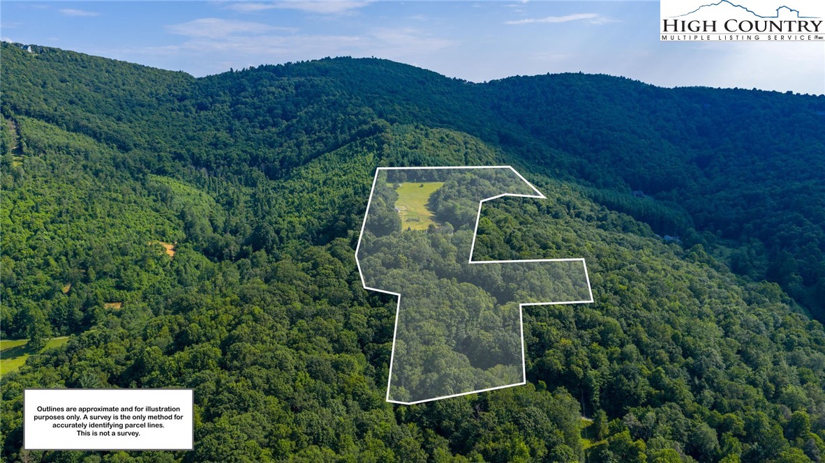 1357 Brown Road Sparta, NC 28675 - Photo 4 of 50 Gallery Image 4