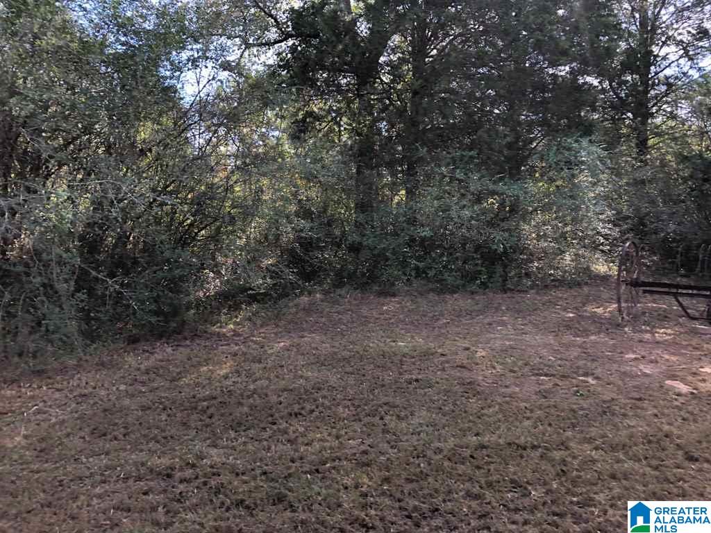 1554 Priebes Mill Road Oxford, AL 36203 - Photo 44 of 49