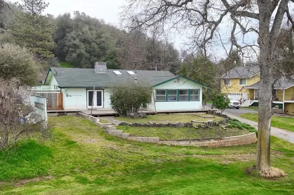 a view of a park with large trees
