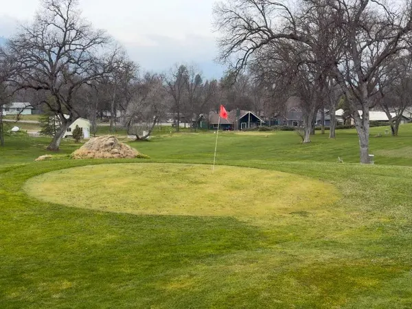 a white house with a yard and large trees