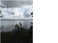 1 Pecanetta Road Wadmalaw Island, SC 29487 - Photo 1 of 1 Primary Photo