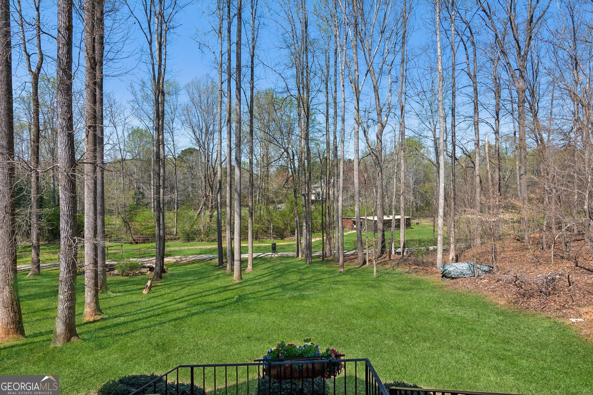 5388 Frazer Road Buford, GA 30518 - Photo 38 of 100 a view of a park with large trees