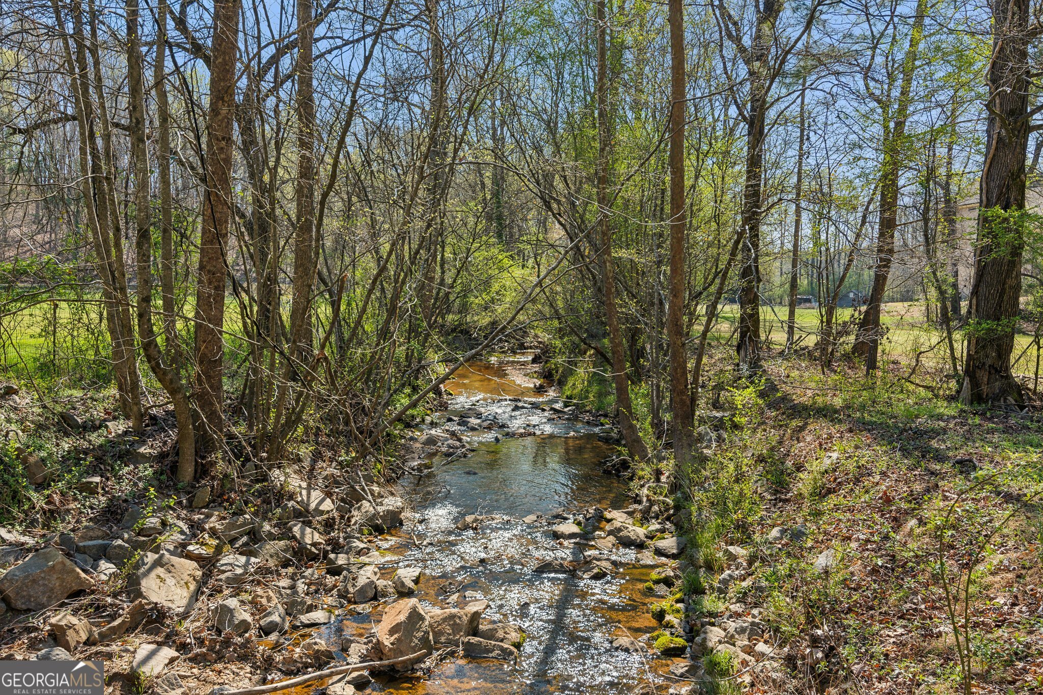 5388 Frazer Road Buford, GA 30518 - Photo 57 of 100 a backyard of a house with lots of plants and large trees