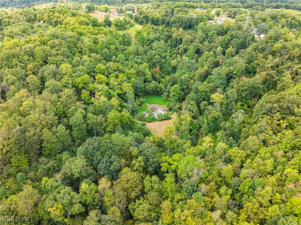 Tunnel Hill Road Dennison, OH 44621 - Photo 4 of 50