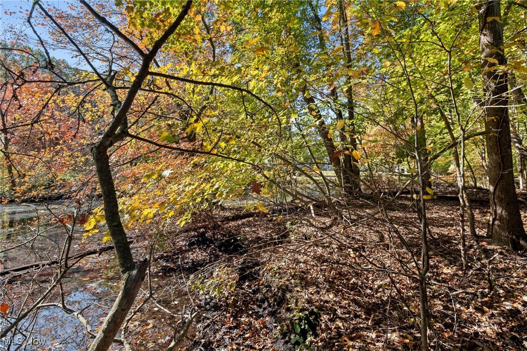 West Comet Road Clinton, OH 44216 - Photo 21 of 26 View of local wilderness