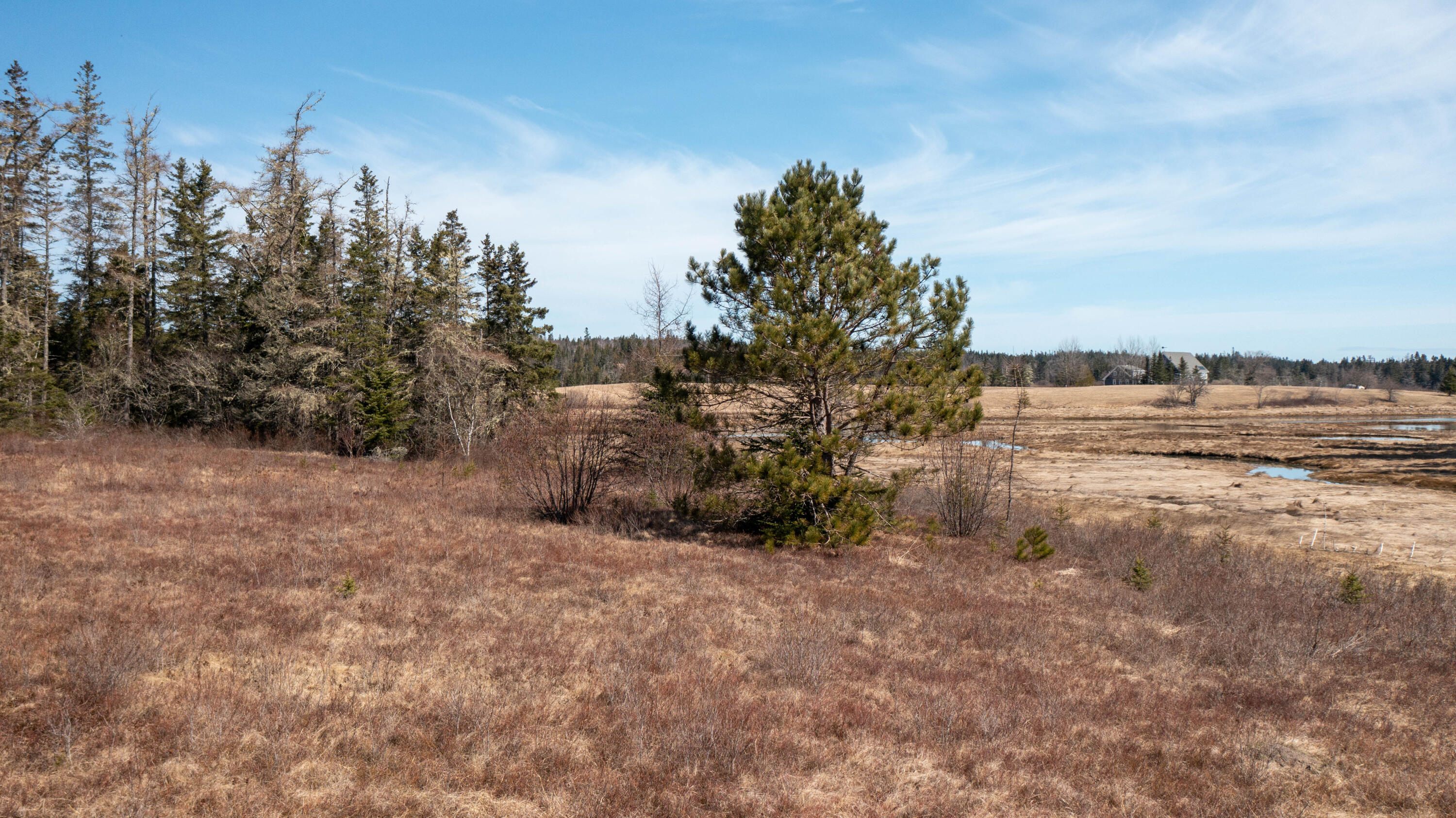 0 Smokehouse Road Lubec, ME 04652 - Photo 9 of 21 00 Smokehouse Rd. Trescotte Twp. Maine (