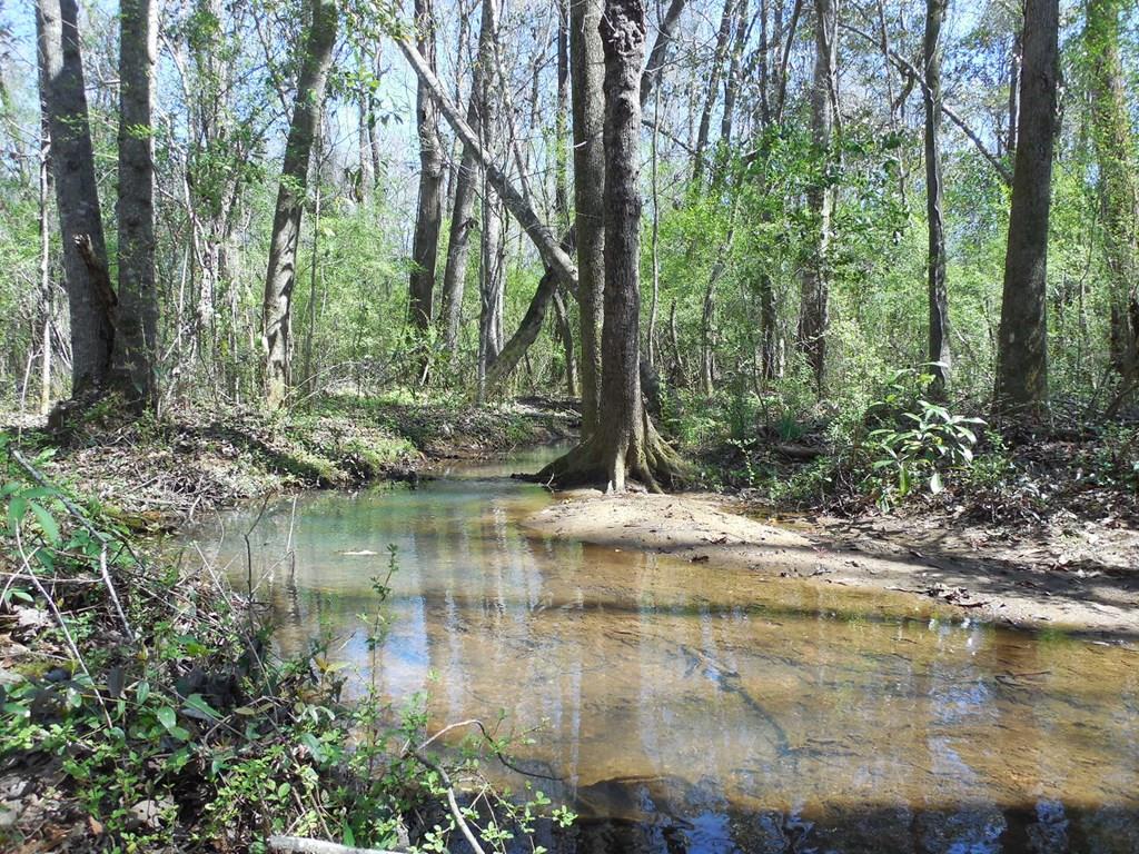7.1-acre Cobb Road Dothan, AL 36301 - Photo 1 of 1