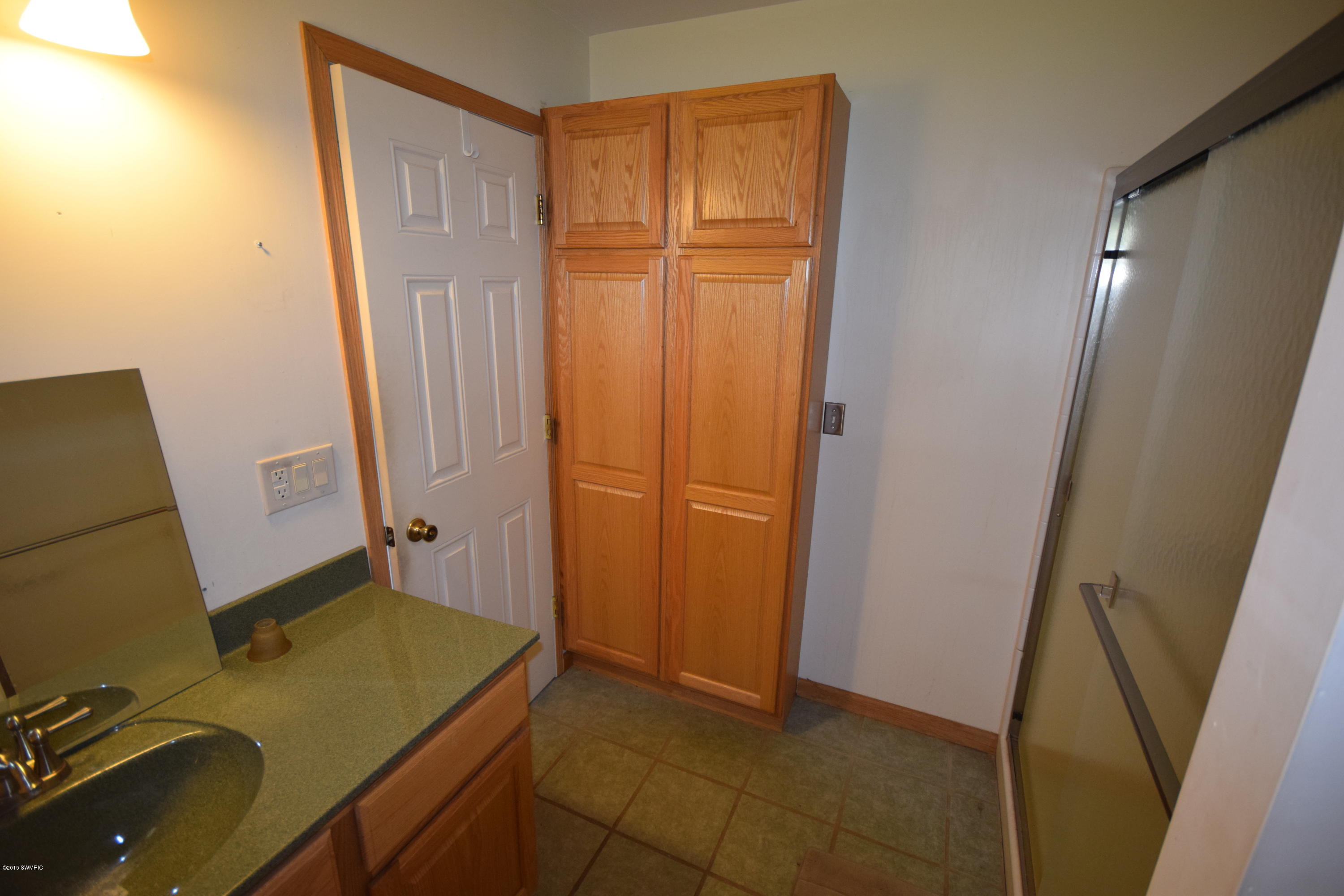 6197 South Ionia Bellevue, MI 49021 - Photo 20 of 39 DSC_0134